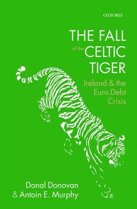 bokomslag The Fall of the Celtic Tiger