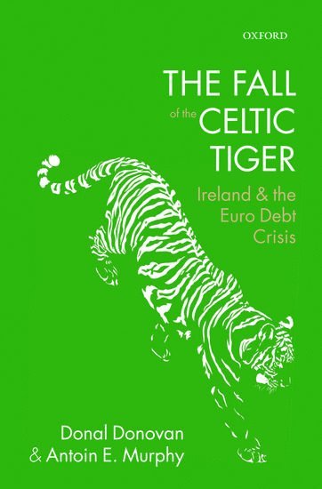 bokomslag The Fall of the Celtic Tiger