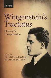 bokomslag Wittgenstein's Tractatus