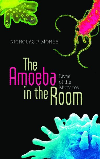 bokomslag The Amoeba in the Room