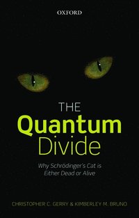bokomslag The Quantum Divide