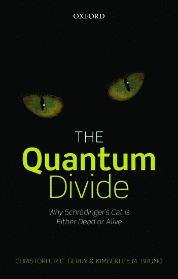 bokomslag The Quantum Divide