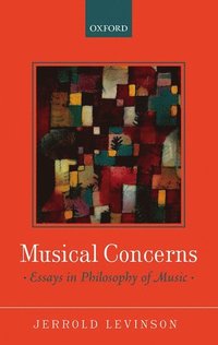 bokomslag Musical Concerns