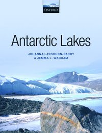 bokomslag Antarctic Lakes