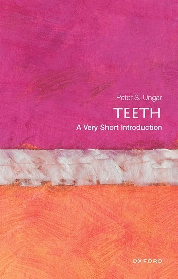 Teeth: A Very Short Introduction 1