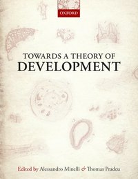 bokomslag Towards a Theory of Development
