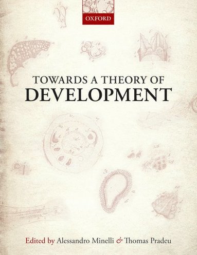 bokomslag Towards a Theory of Development