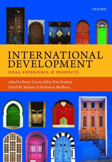 bokomslag International Development