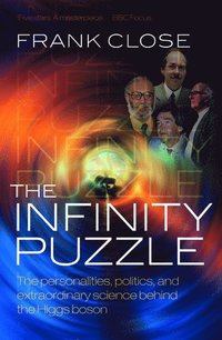 bokomslag The Infinity Puzzle