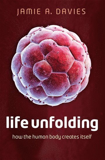 Jamie A. Davies, University of Edinburgh) Davies, Jamie A. (Professor of Experimental Anatomy, Professor of Experimental Anatomy, Jamie A Davies - Life Unfolding, Häftad