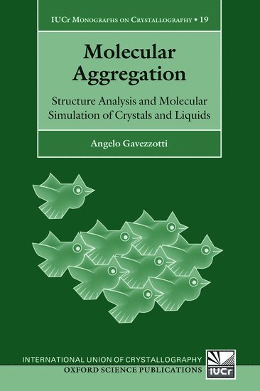 bokomslag Molecular Aggregation