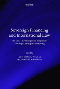 bokomslag Sovereign Financing and International Law