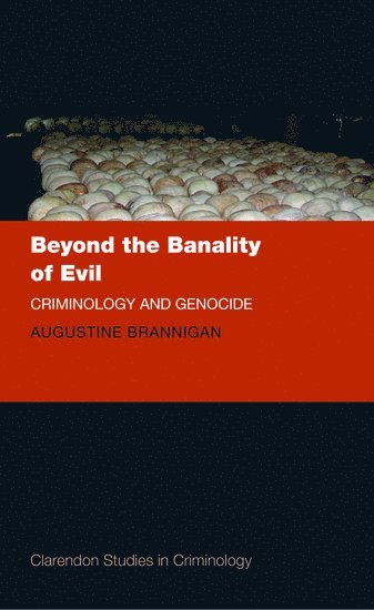 bokomslag Beyond the Banality of Evil