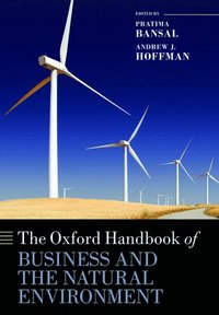 bokomslag The Oxford Handbook of Business and the Natural Environment