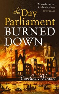 bokomslag The Day Parliament Burned Down