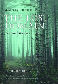 bokomslag The Lost Domain