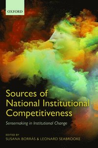 bokomslag Sources of National Institutional Competitiveness