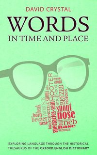 bokomslag Words in Time and Place