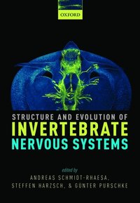 bokomslag Structure and Evolution of Invertebrate Nervous Systems