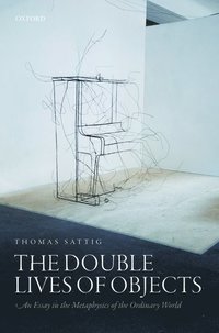 bokomslag Double Lives of Objects