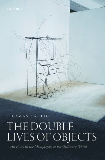 bokomslag Double Lives of Objects
