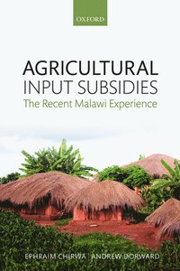 bokomslag Agricultural Input Subsidies