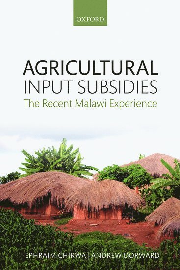 bokomslag Agricultural Input Subsidies