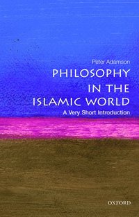 bokomslag Philosophy in the Islamic World