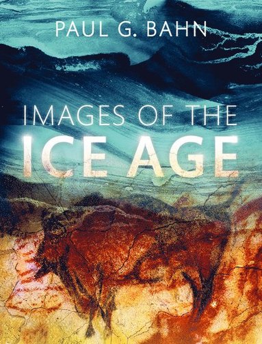 bokomslag Images of the Ice Age