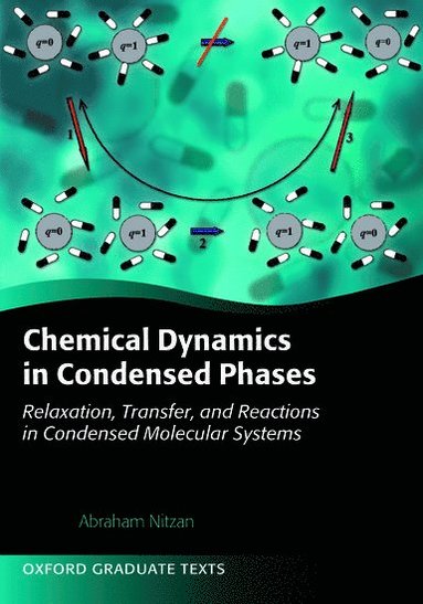 bokomslag Chemical Dynamics in Condensed Phases
