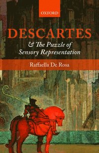bokomslag Descartes and the Puzzle of Sensory Representation
