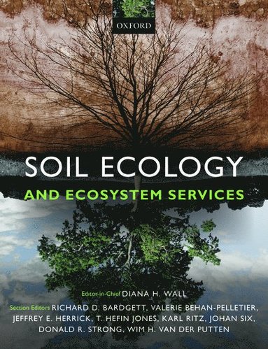 Diana H. Wall, Richard D. Bardgett, Valerie Behan-Pelletier, Diana H. Wall, Richard D. Bardgett, Valerie Behan-Pelletier, Jeffrey E. Herrick, T. Hefin Jones, Johan Six, Donald R. Strong, Wim H. van der Putten, Karl Ritz - Soil Ecology and Ecosystem Services, Häftad