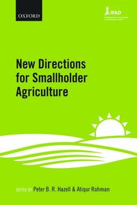 bokomslag New Directions for Smallholder Agriculture