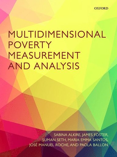 bokomslag Multidimensional Poverty Measurement and Analysis