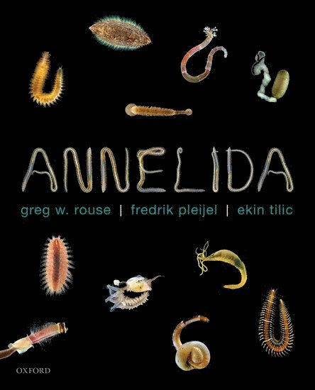 Annelida 1