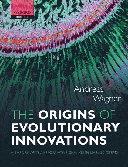 The Origins of Evolutionary Innovations 1