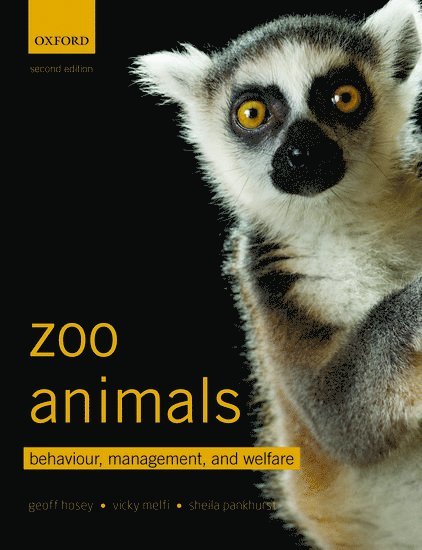 Zoo Animals 1