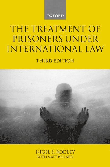 bokomslag The Treatment of Prisoners under International Law