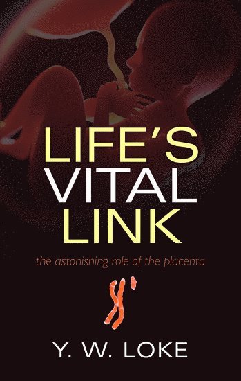 bokomslag Life's Vital Link