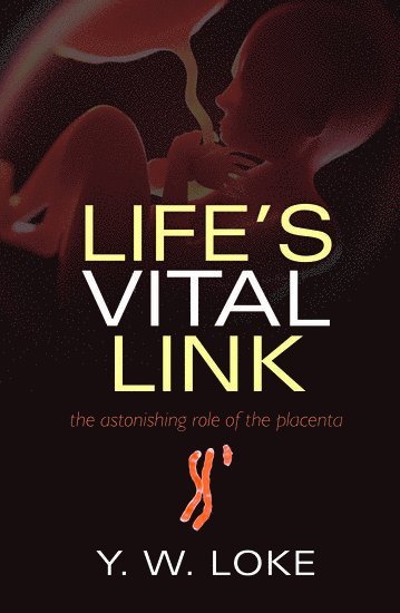 bokomslag Life's Vital Link