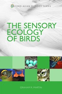 bokomslag Sensory Ecology of Birds