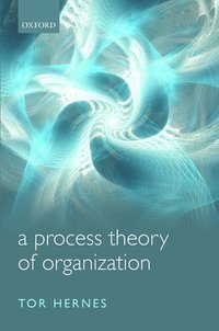 bokomslag A Process Theory of Organization