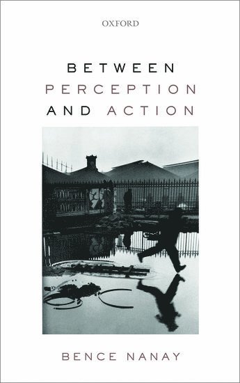 Bence Nanay, Bence (University of Antwerp and University of Cambridge) Nanay - Between Perception and Action, Inbunden
