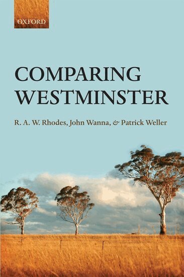 R. A.W. Rhodes, John Wanna, Patrick Weller - Comparing Westminster, Häftad