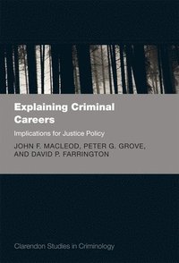 bokomslag Explaining Criminal Careers
