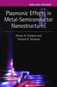 bokomslag Plasmonic Effects in Metal-Semiconductor Nanostructures