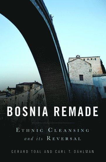 bokomslag Bosnia Remade