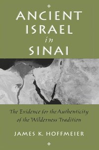 bokomslag Ancient Israel in Sinai