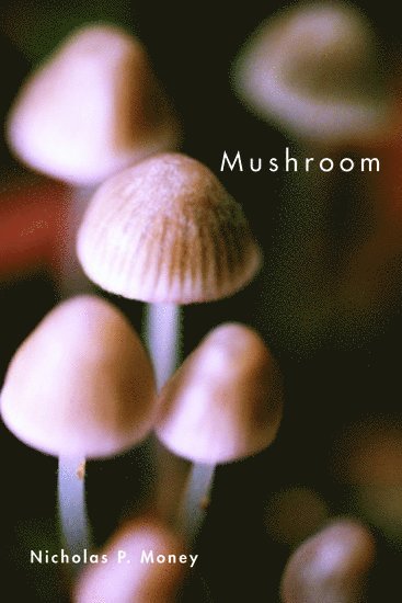 Mushroom 1