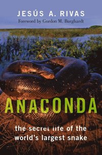 bokomslag Anaconda